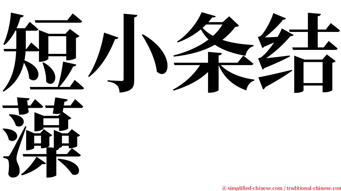 短小条结藻 serif font