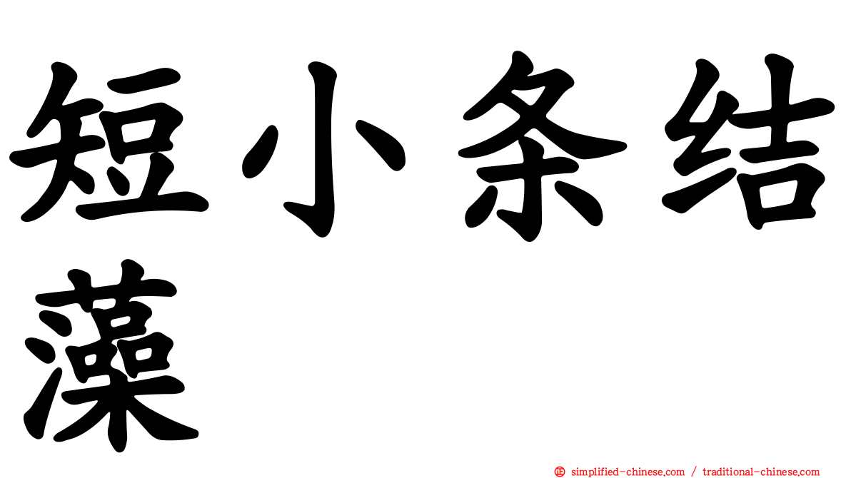 短小条结藻