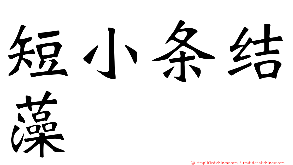 短小条结藻