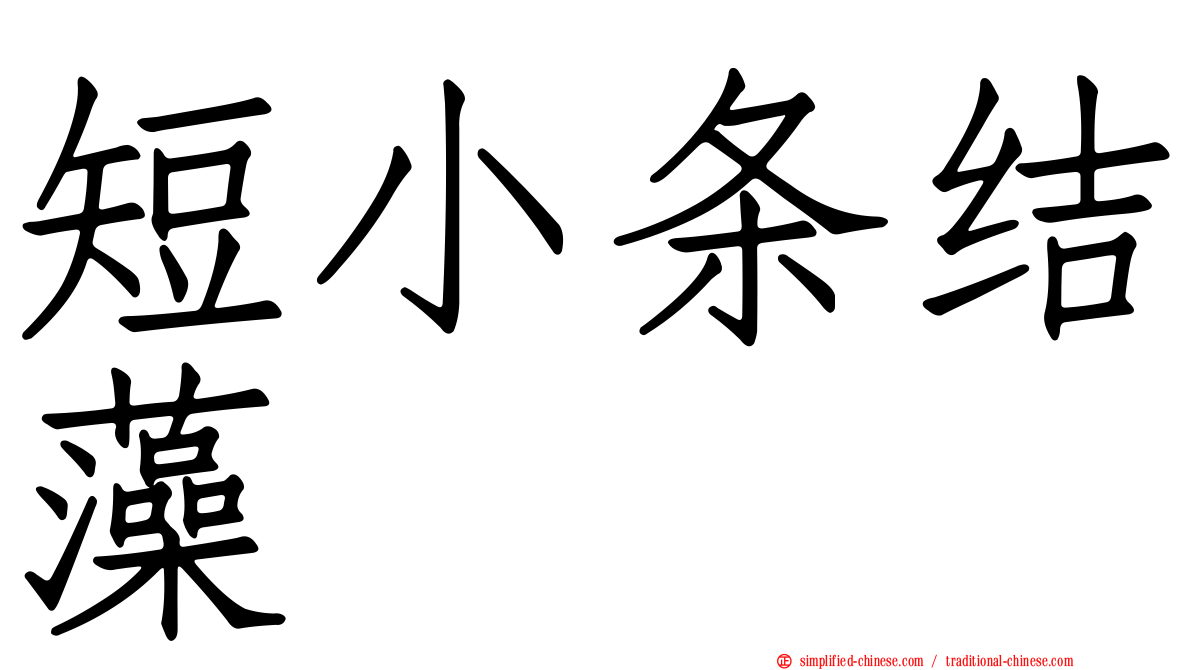 短小条结藻