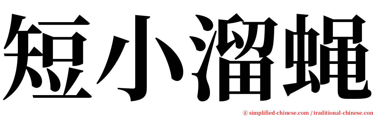 短小溜蝇 serif font