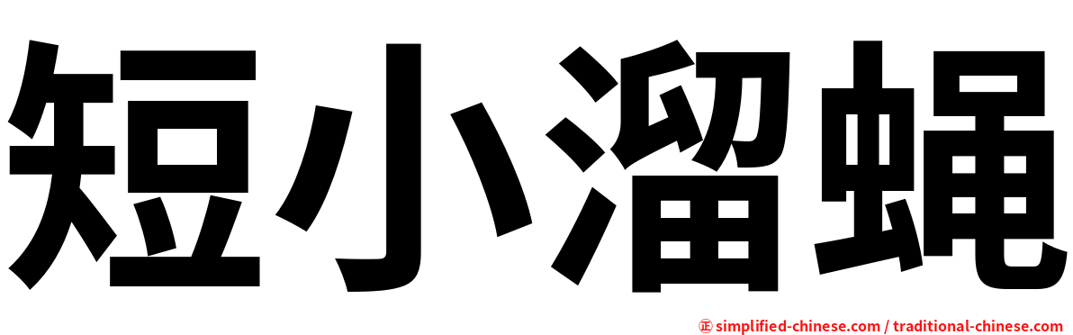 短小溜蝇