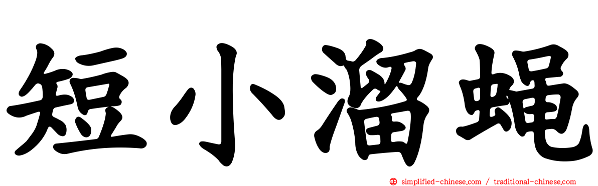 短小溜蝇