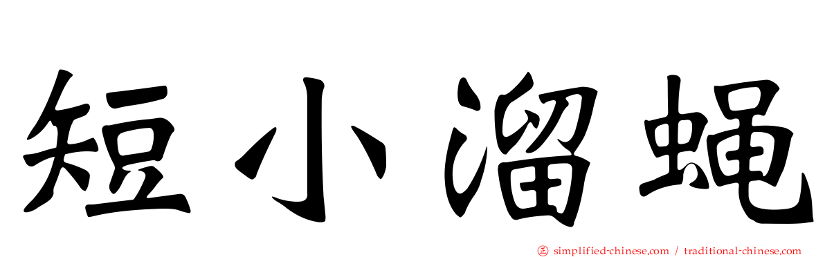 短小溜蝇
