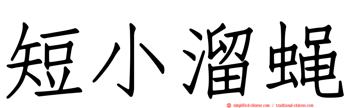 短小溜蝇
