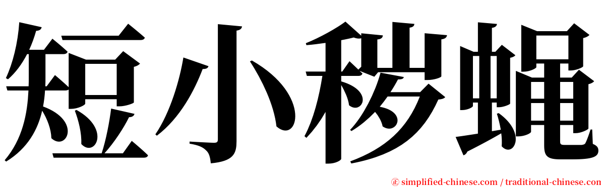 短小秽蝇 serif font