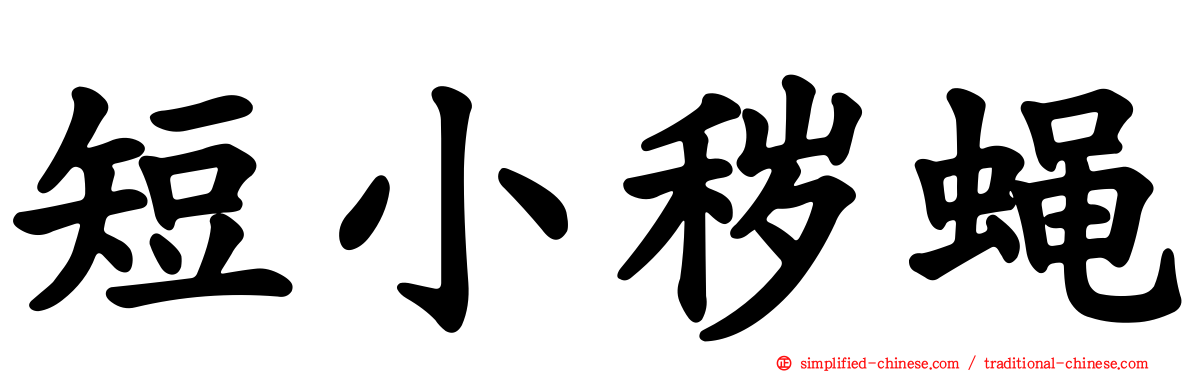 短小秽蝇