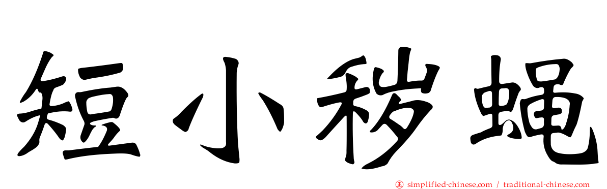 短小秽蝇