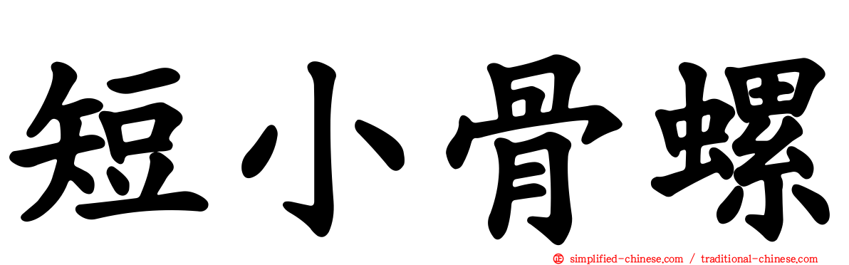 短小骨螺