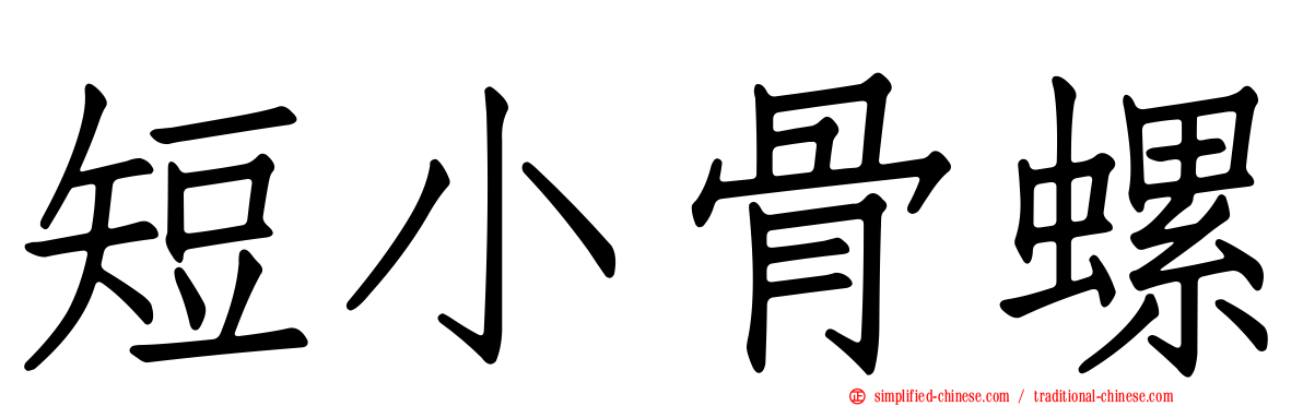 短小骨螺