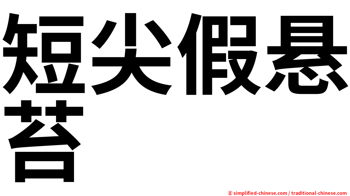 短尖假悬苔