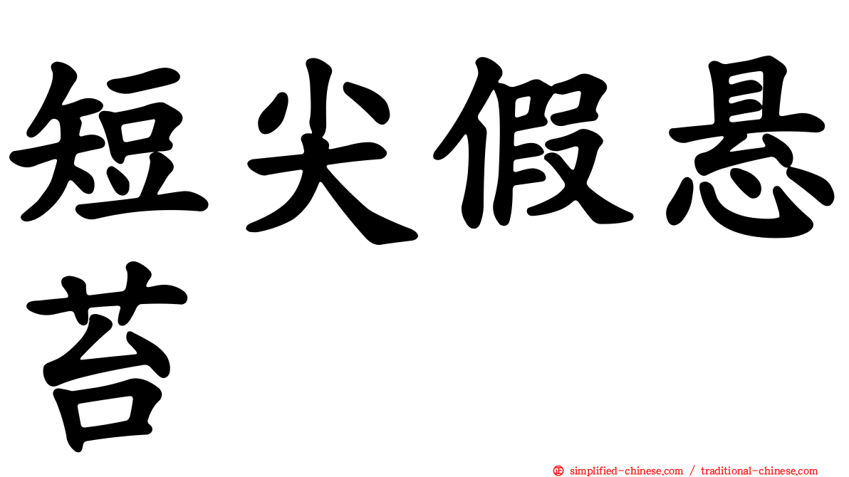 短尖假悬苔
