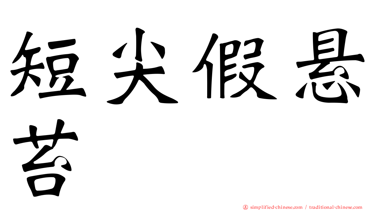 短尖假悬苔