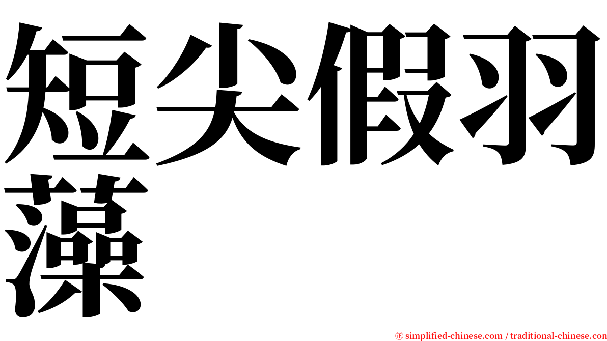 短尖假羽藻 serif font