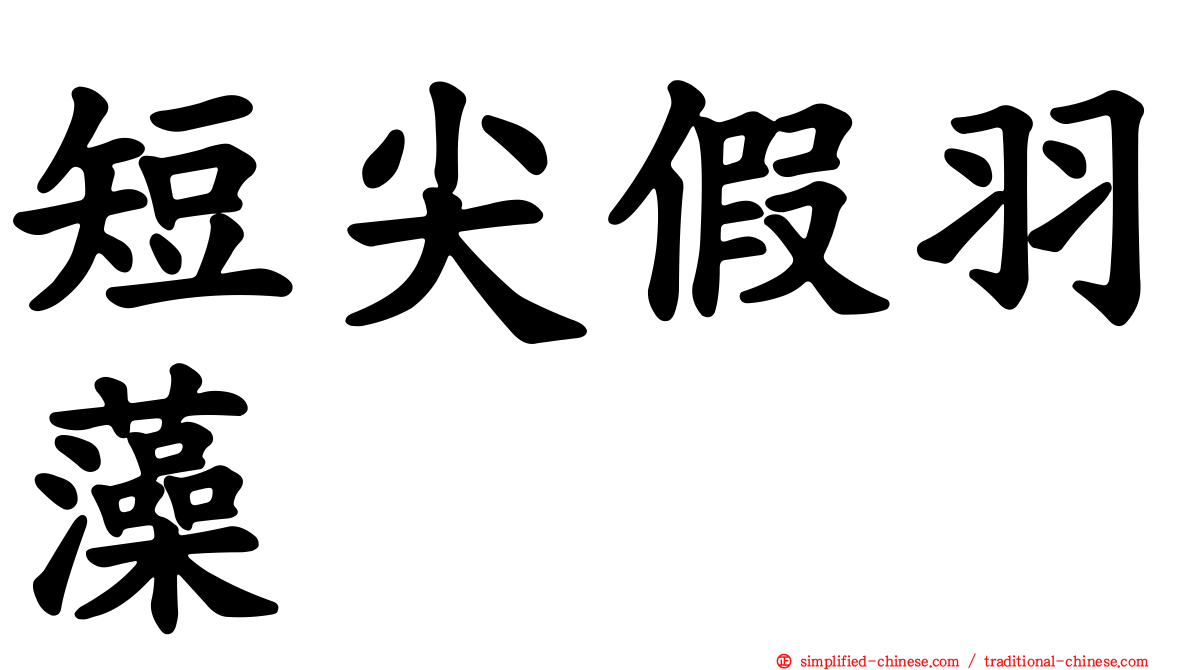 短尖假羽藻