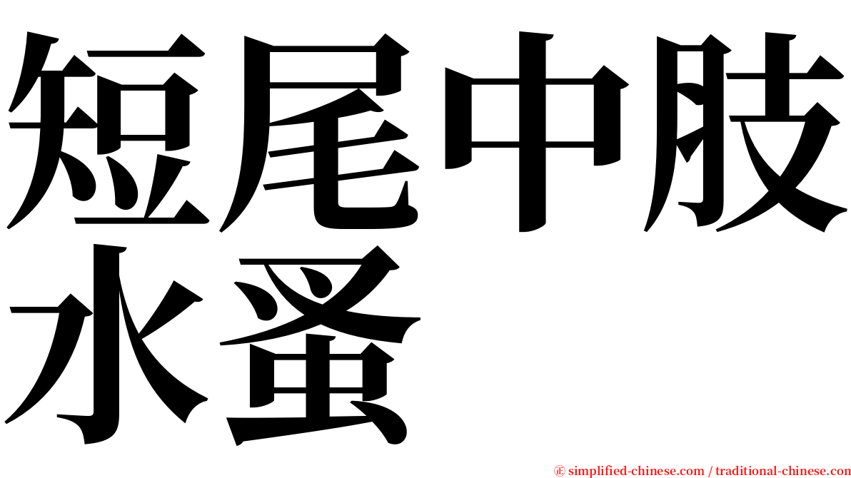 短尾中肢水蚤 serif font
