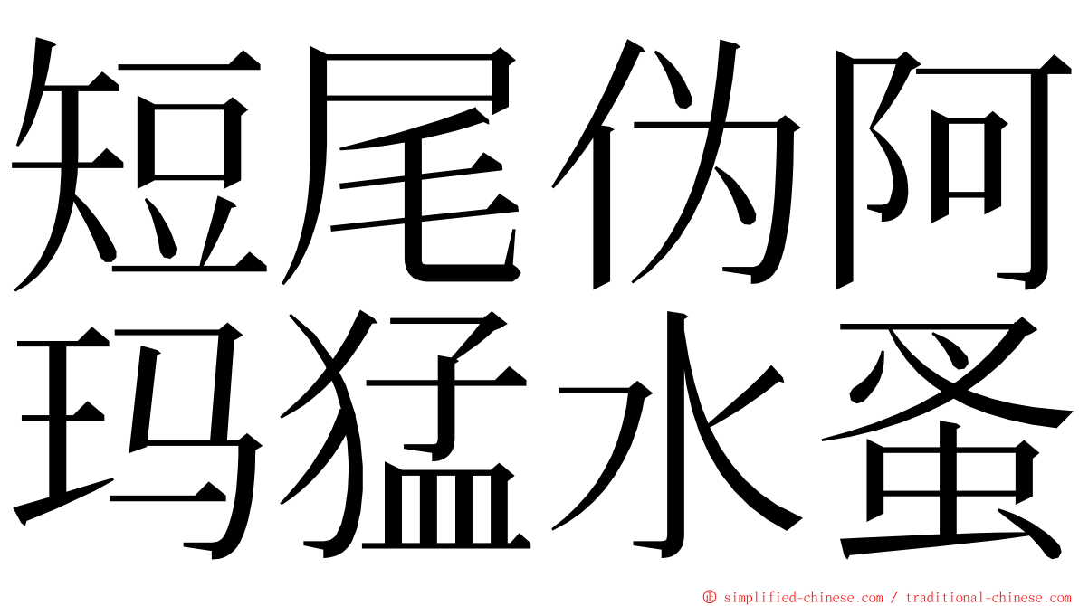 短尾伪阿玛猛水蚤 ming font