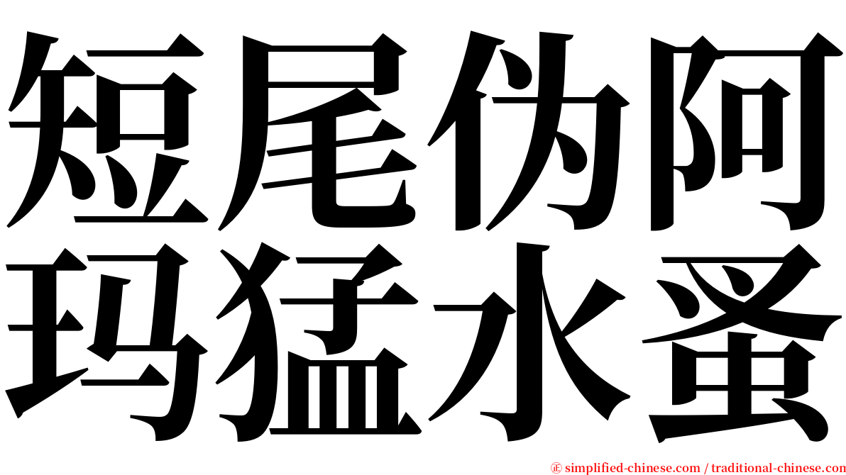 短尾伪阿玛猛水蚤 serif font