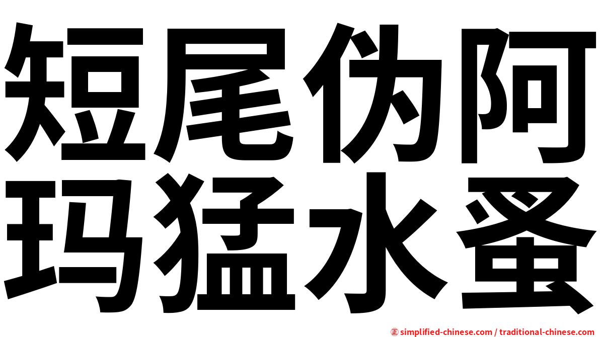 短尾伪阿玛猛水蚤