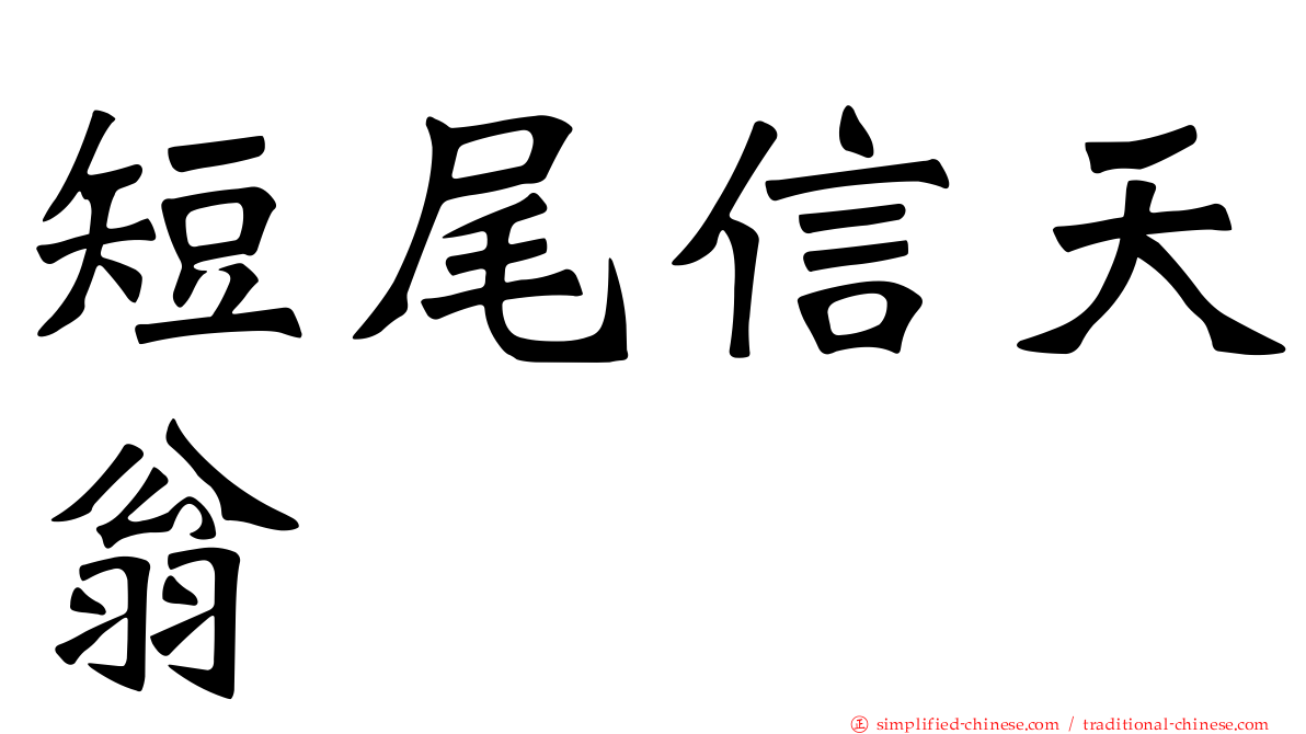 短尾信天翁