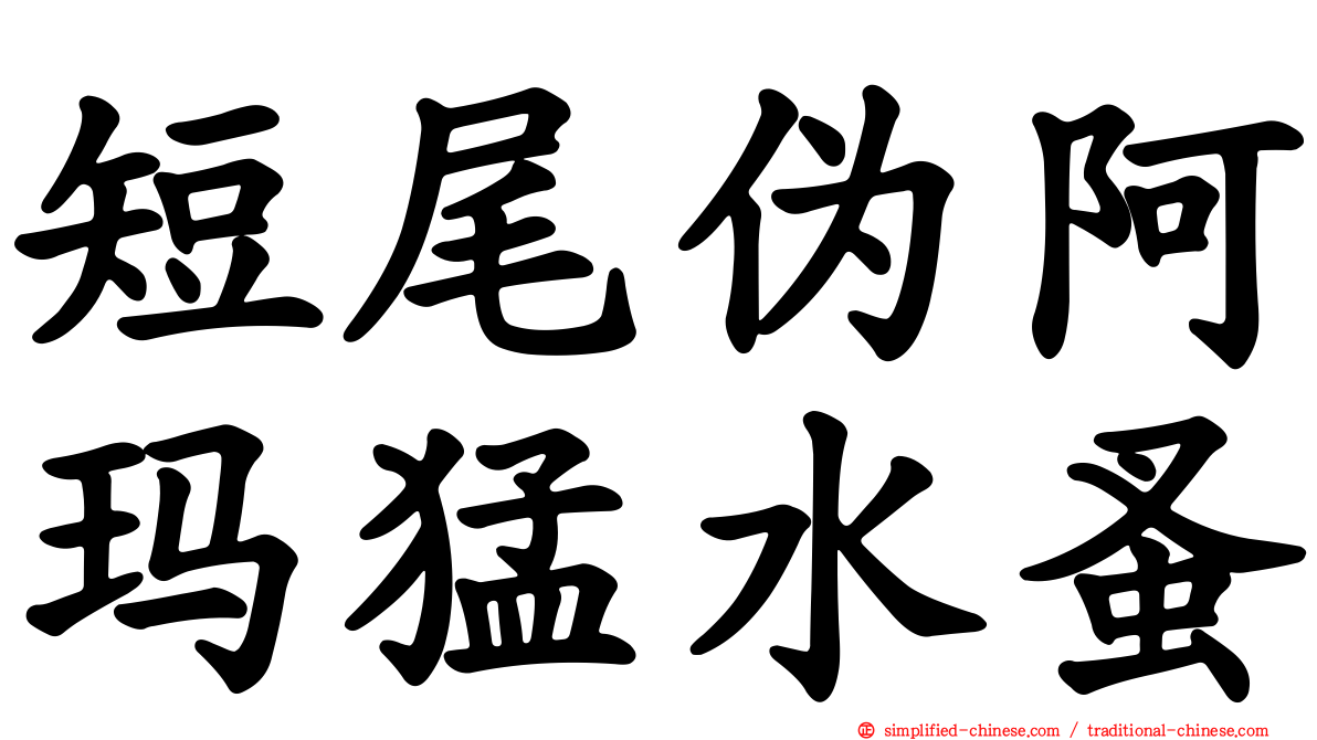 短尾伪阿玛猛水蚤
