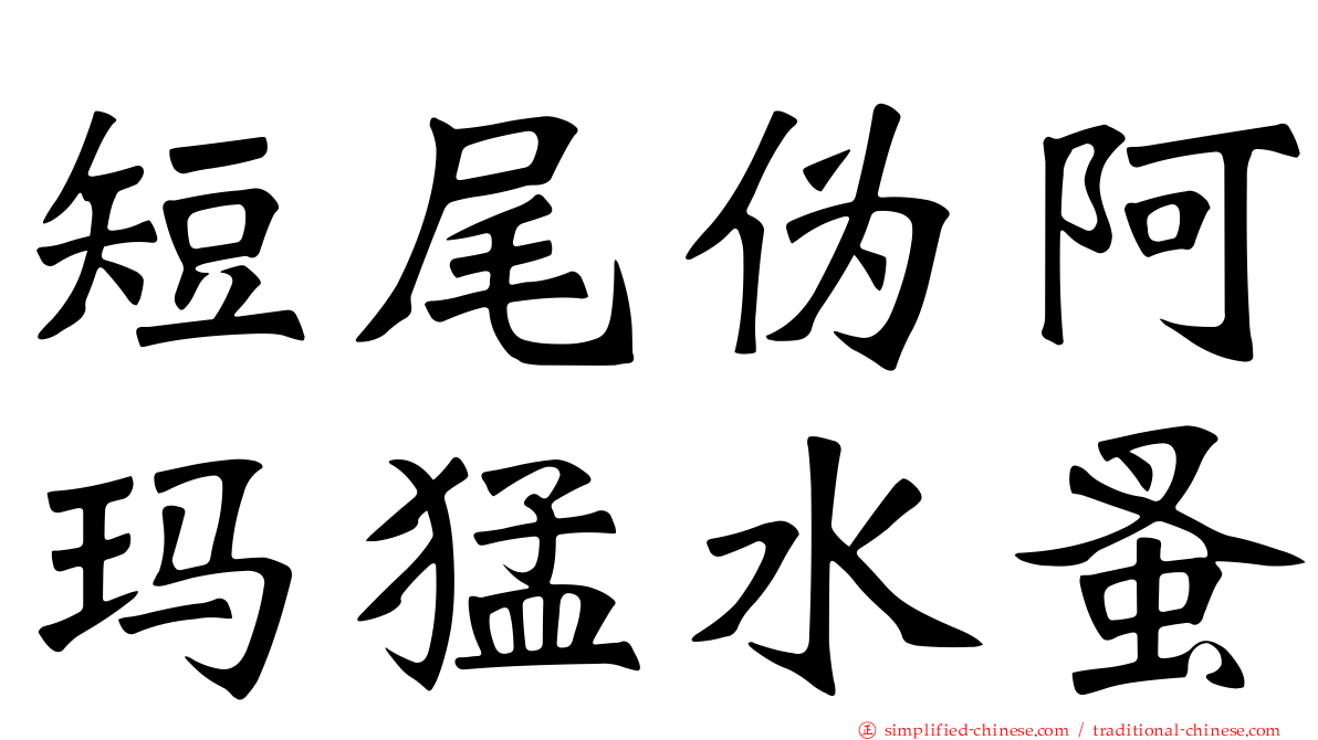短尾伪阿玛猛水蚤
