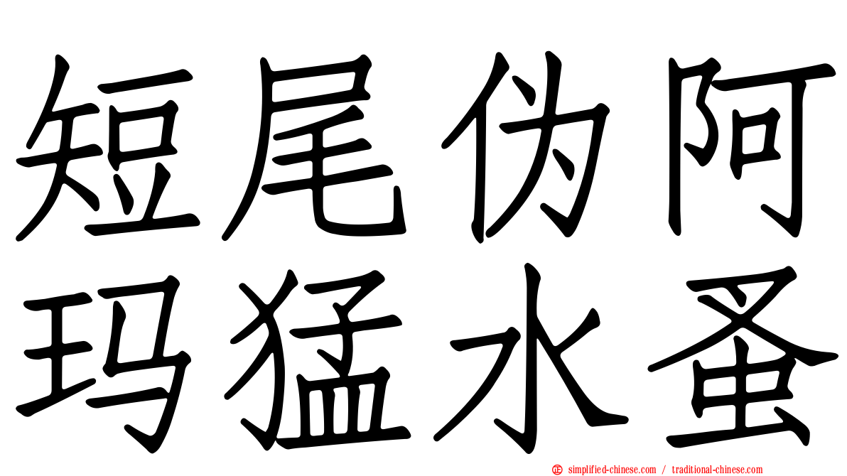 短尾伪阿玛猛水蚤