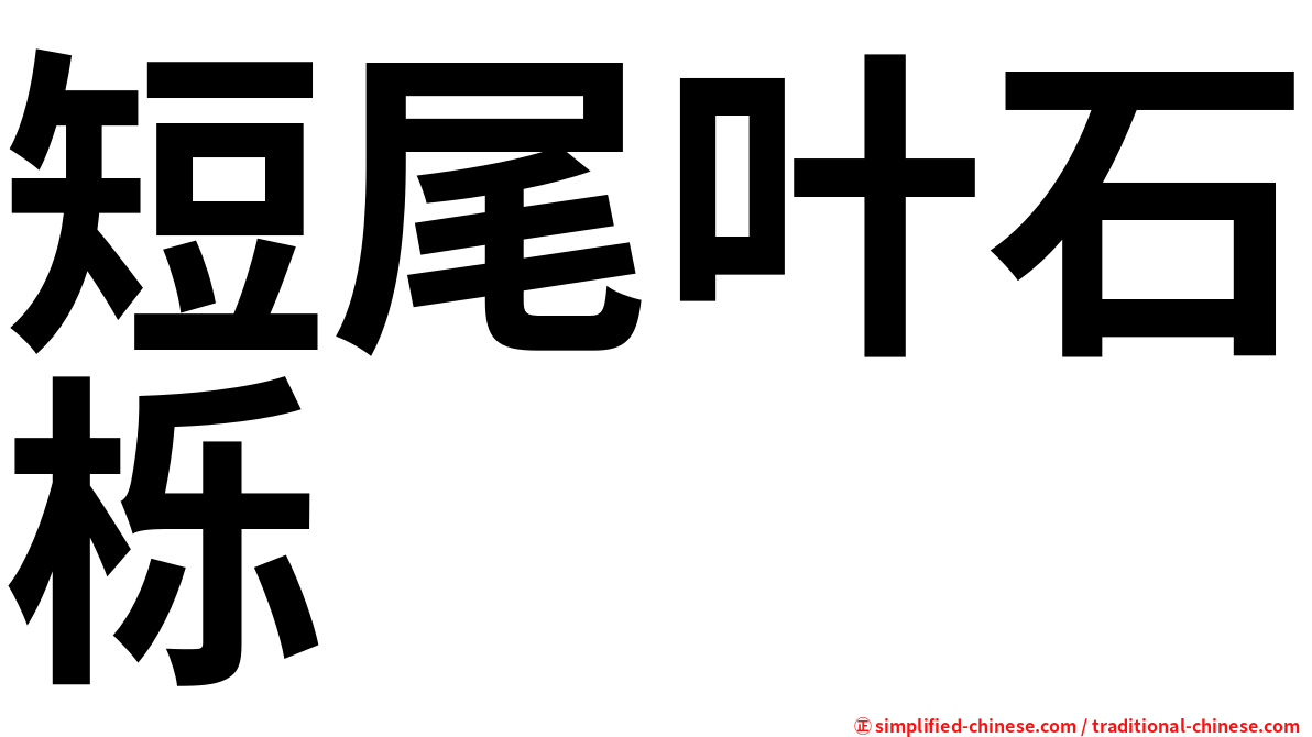 短尾叶石栎