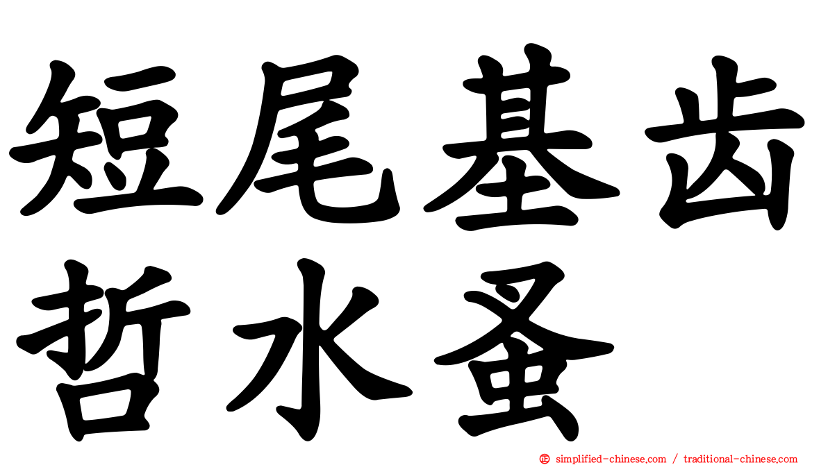 短尾基齿哲水蚤