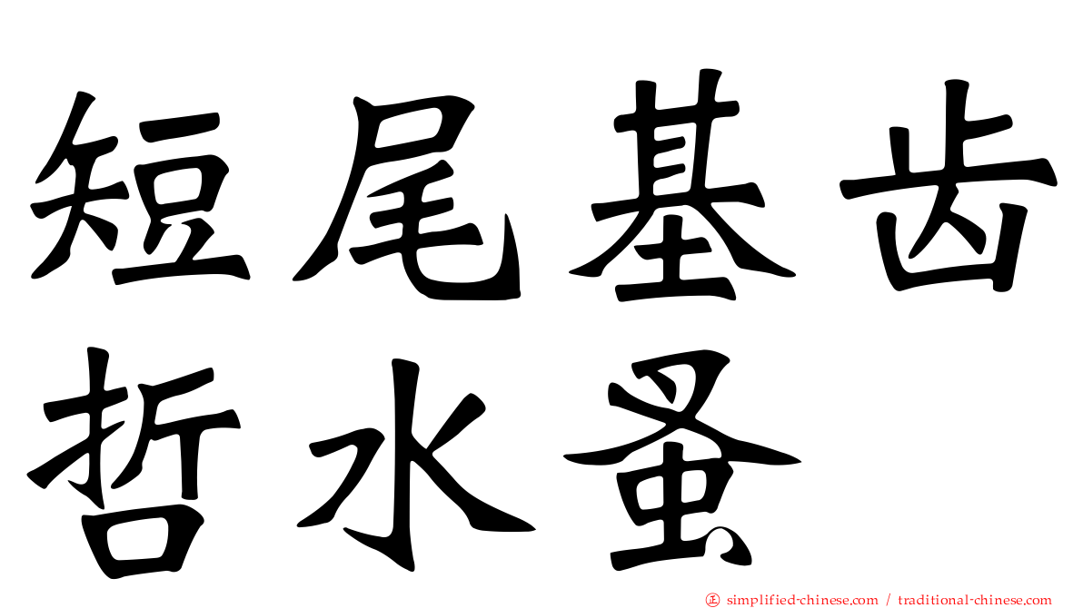 短尾基齿哲水蚤