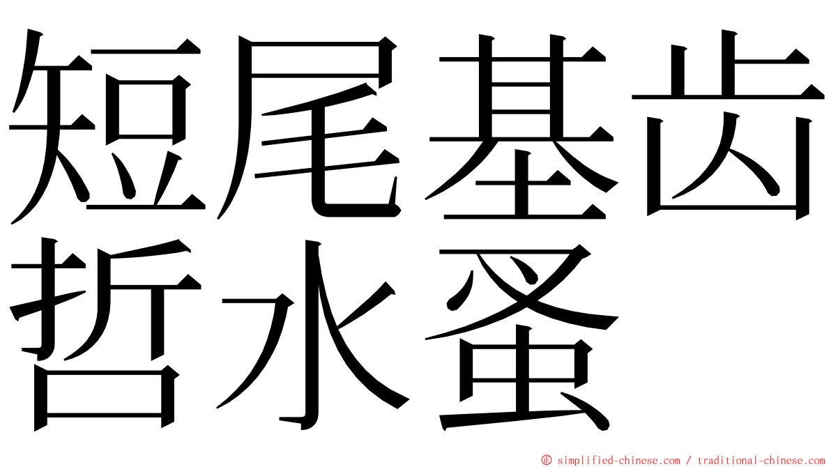 短尾基齿哲水蚤 ming font