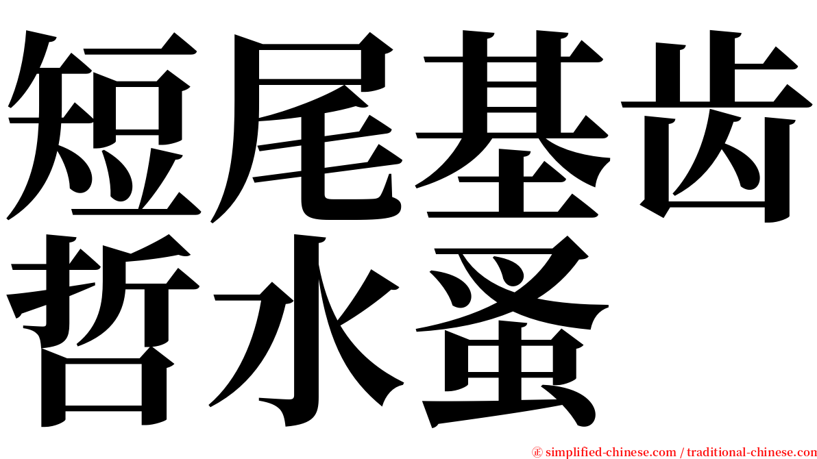 短尾基齿哲水蚤 serif font