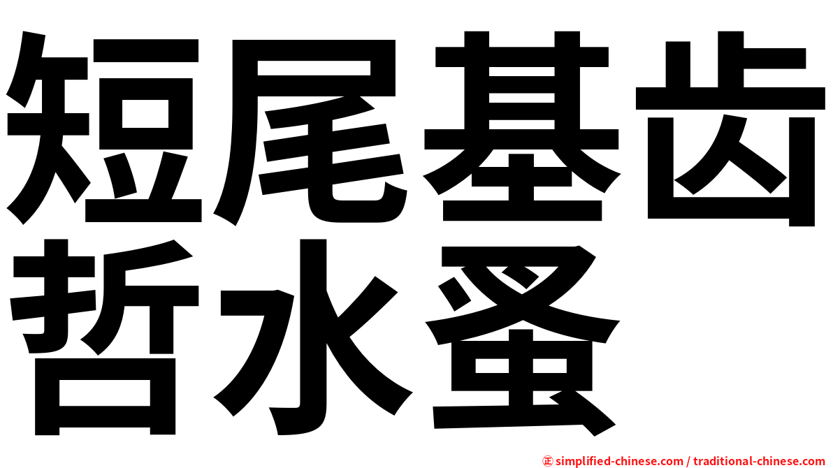 短尾基齿哲水蚤