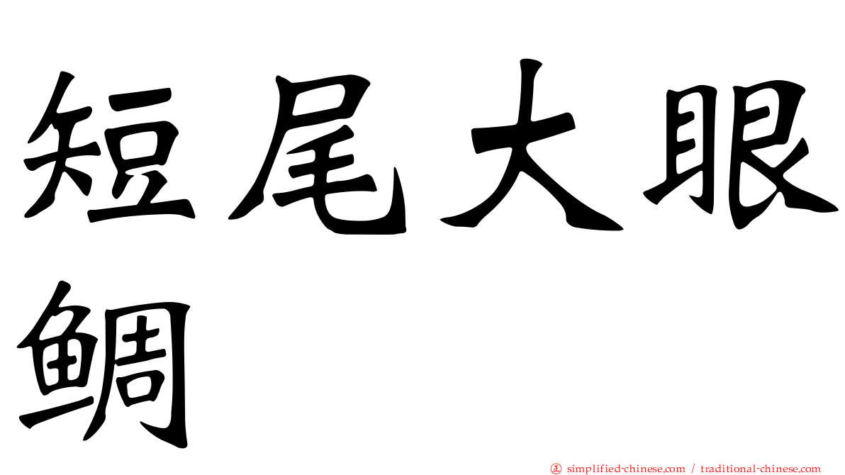 短尾大眼鲷