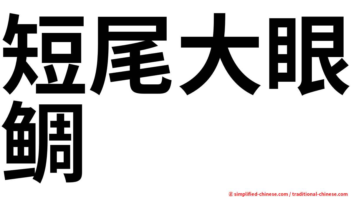 短尾大眼鲷
