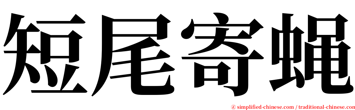 短尾寄蝇 serif font