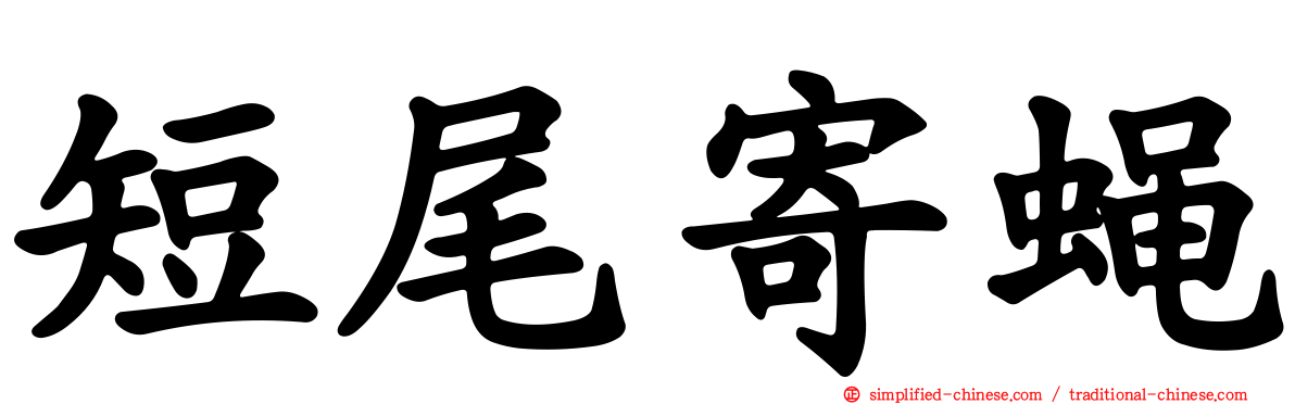 短尾寄蝇