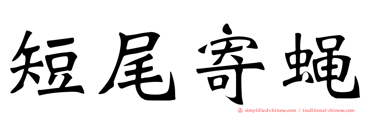 短尾寄蝇