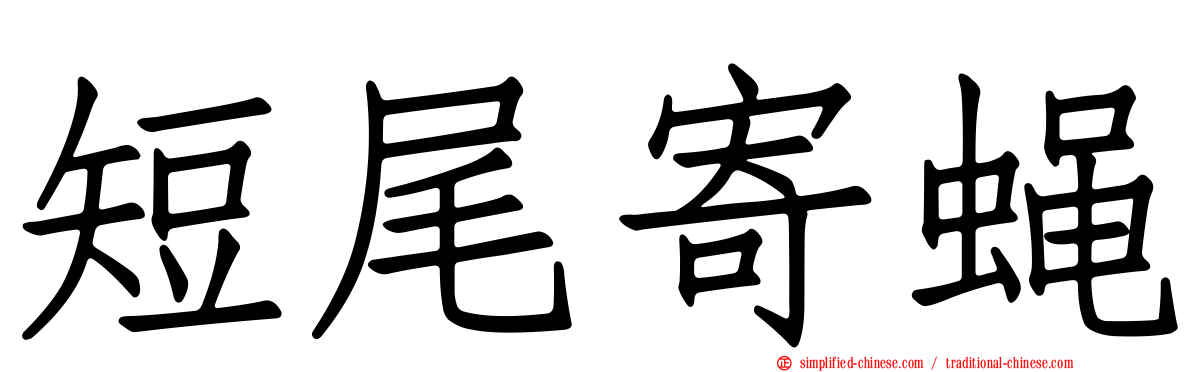 短尾寄蝇