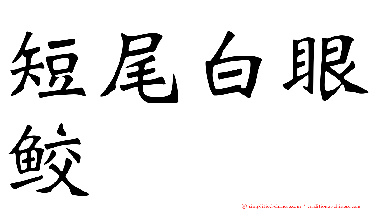短尾白眼鲛