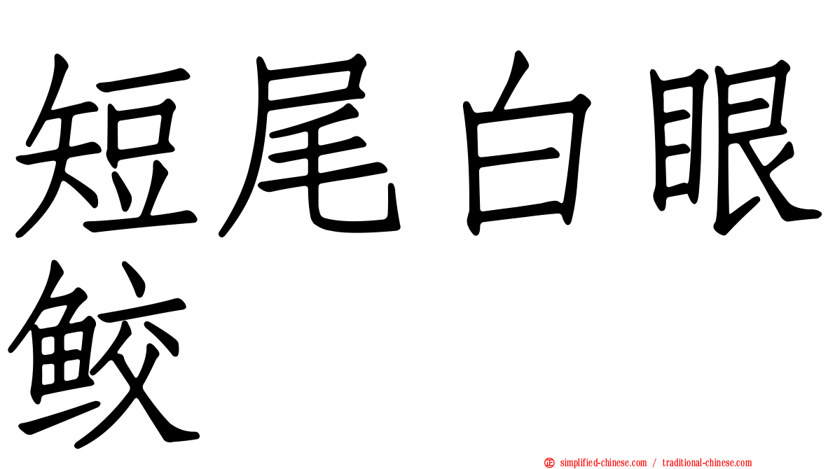 短尾白眼鲛