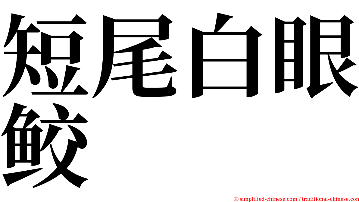 短尾白眼鲛 serif font