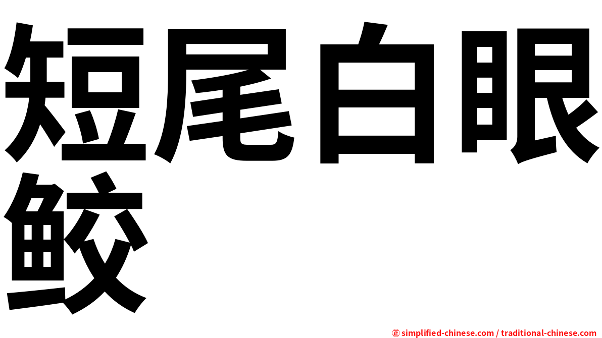短尾白眼鲛