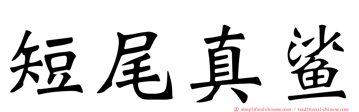 短尾真鲨