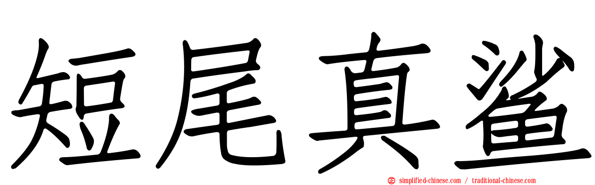 短尾真鲨
