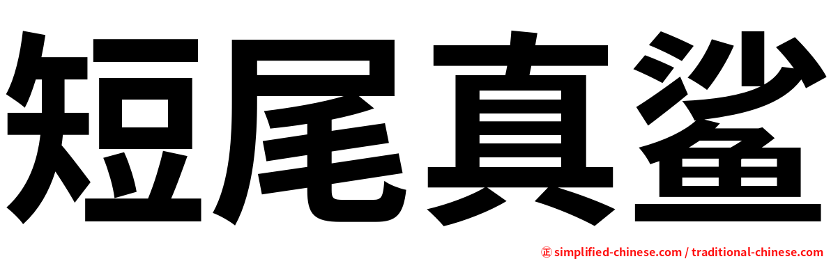 短尾真鲨