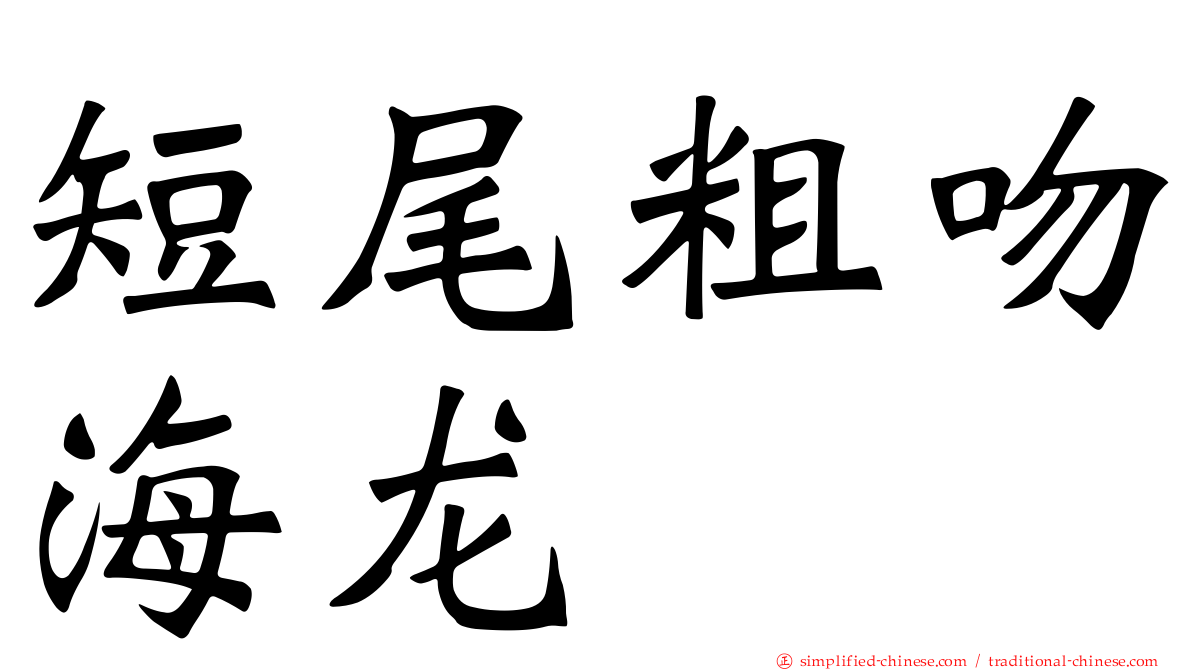 短尾粗吻海龙