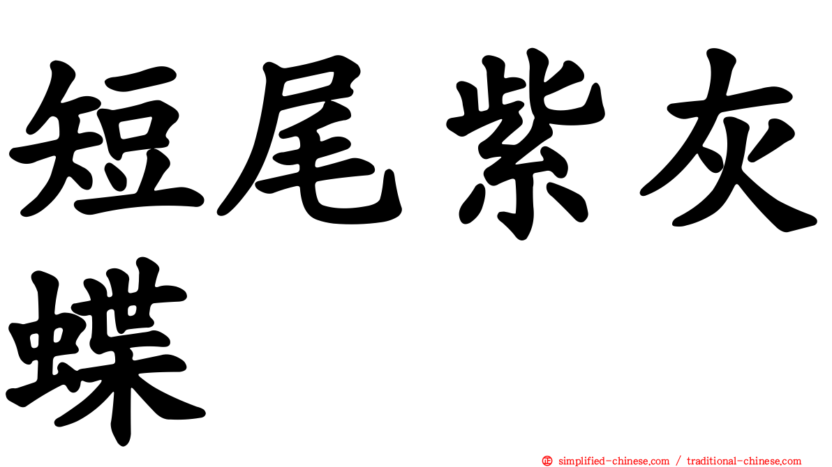 短尾紫灰蝶