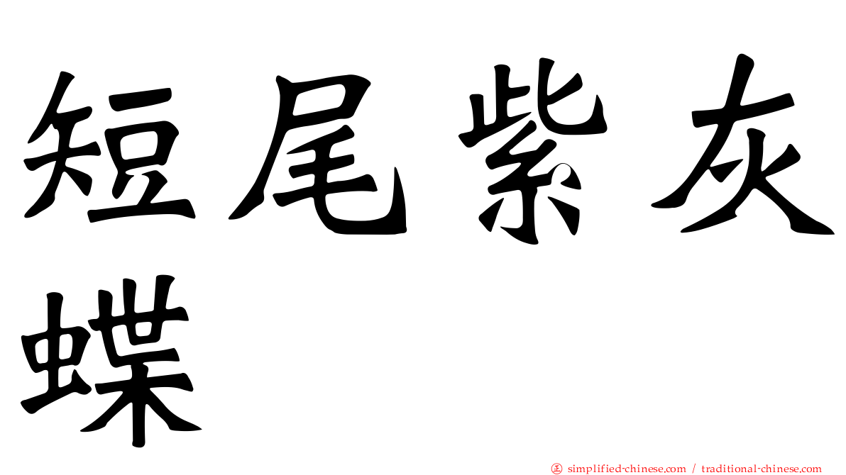 短尾紫灰蝶