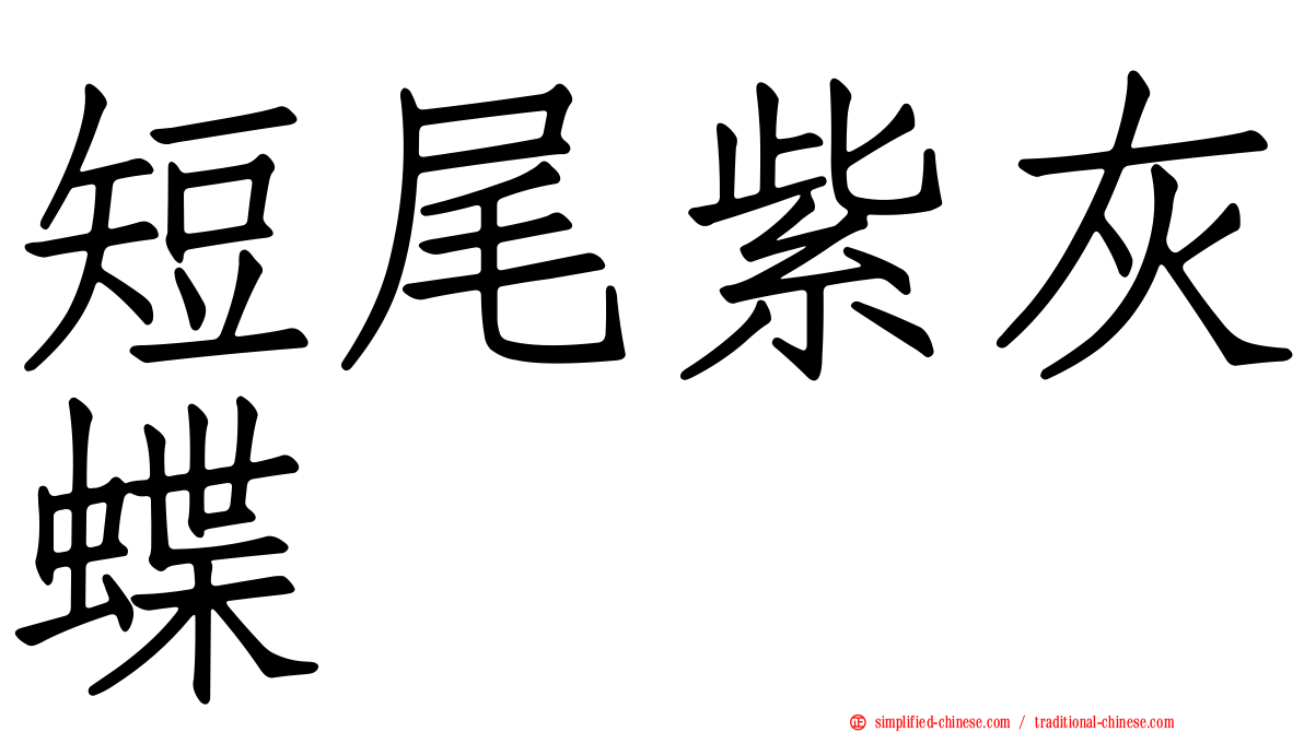 短尾紫灰蝶